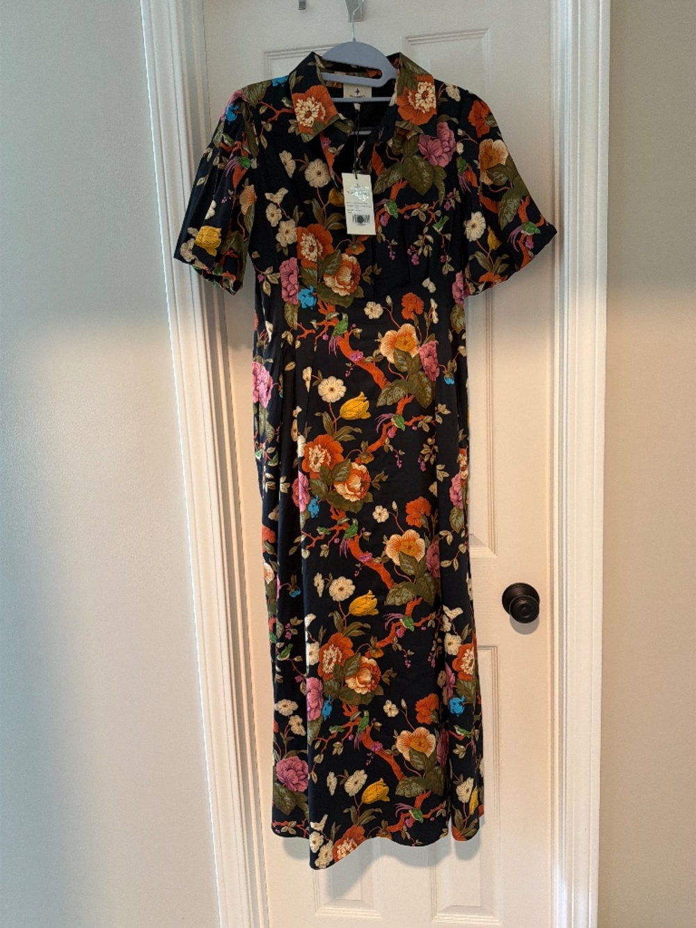 Tuckernuck dress